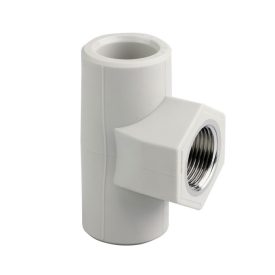 PP 20-1/2"-20 T-idom BM