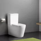 Leziter Paulo rimless WC monoblokkos alsó/hátsó